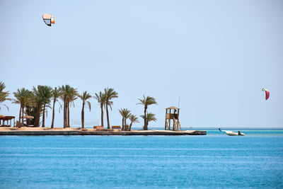tropical-sea-pier-with-palms-and-recreational-zone-2024-01-02-21-29-07-utc (1)