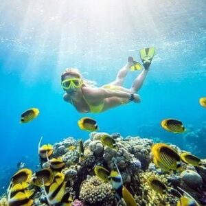 Dahab: Blue Hole Snorkeling Adventure and Natural Pools Exploration