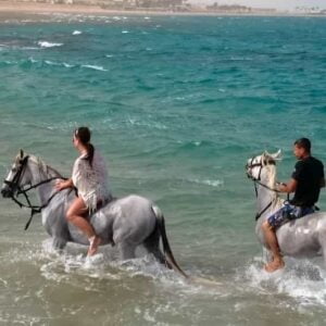 Hurghada: Scenic Sunrise Breakfast and Horseback Riding Adventure